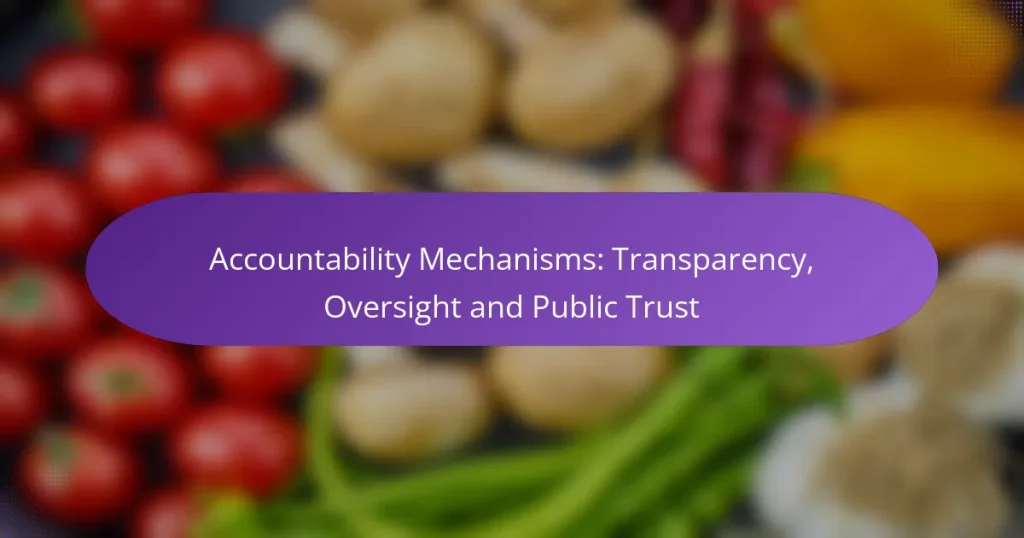 Accountability Mechanisms: Transparency, Oversight and Public Trust