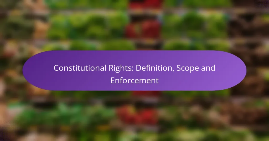 Constitutional Rights: Definition, Scope and Enforcement