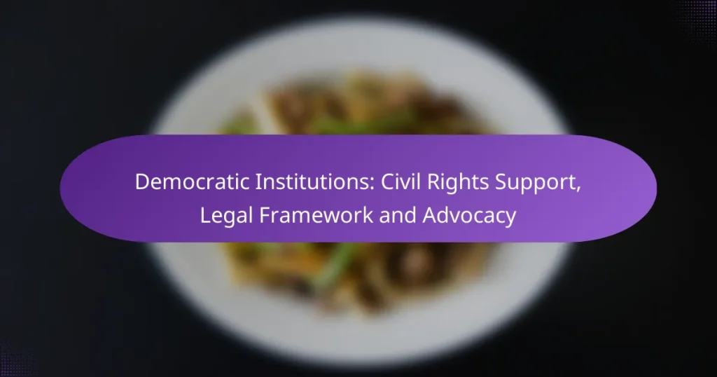 Democratic Institutions: Civil Rights Support, Legal Framework and Advocacy