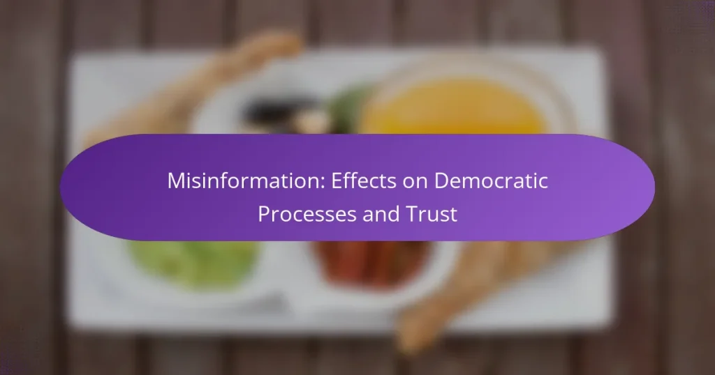 Misinformation: Effects on Democratic Processes and Trust