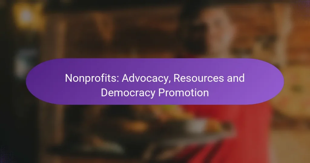 Nonprofits: Advocacy, Resources and Democracy Promotion