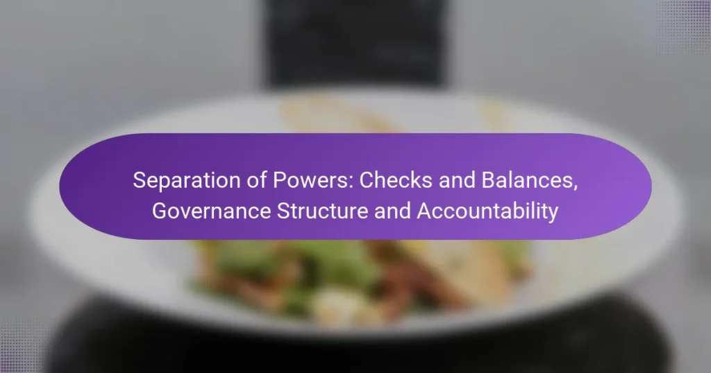 Separation of Powers: Checks and Balances, Governance Structure and Accountability