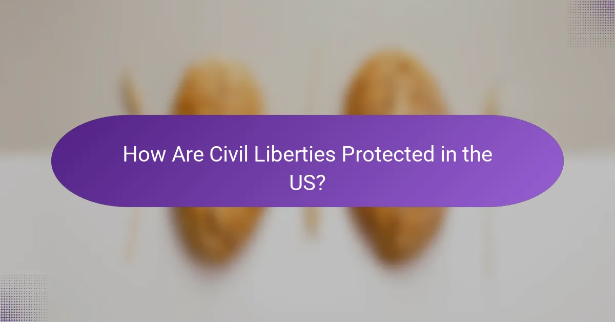 How Are Civil Liberties Protected in the US?