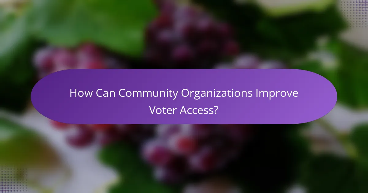 How Can Community Organizations Improve Voter Access?