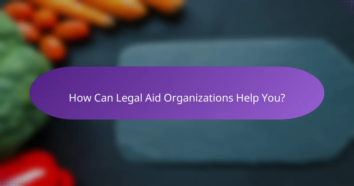 How Can Legal Aid Organizations Help You?