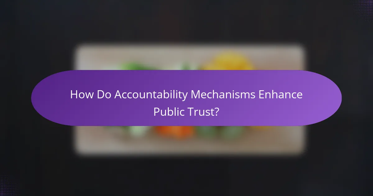 How Do Accountability Mechanisms Enhance Public Trust?