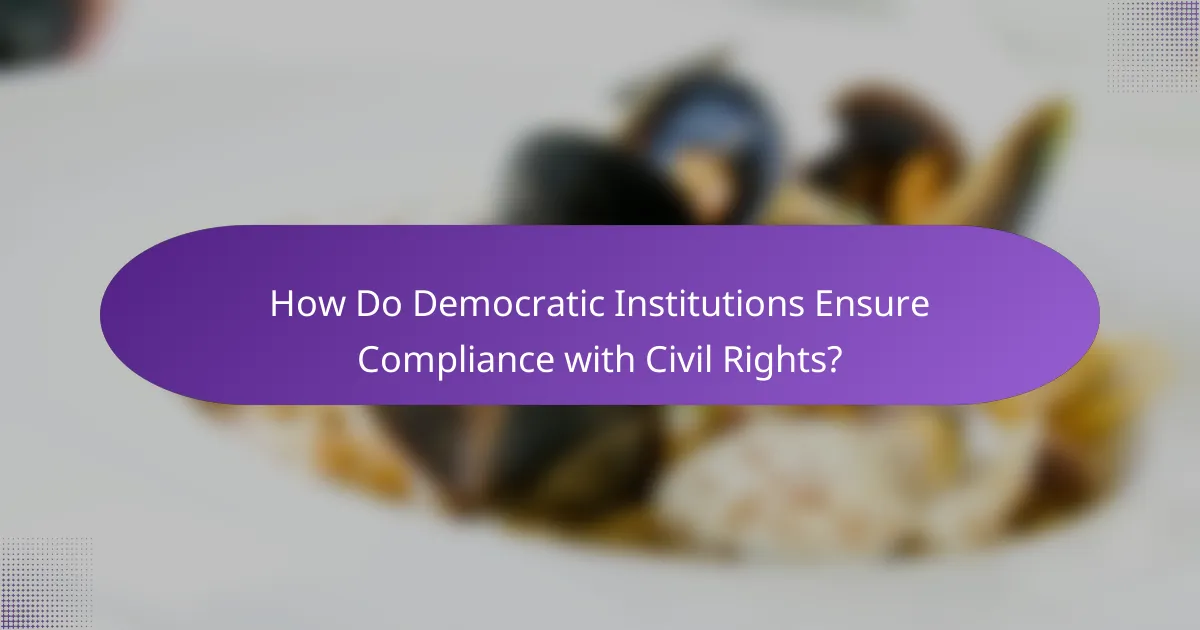 How Do Democratic Institutions Ensure Compliance with Civil Rights?