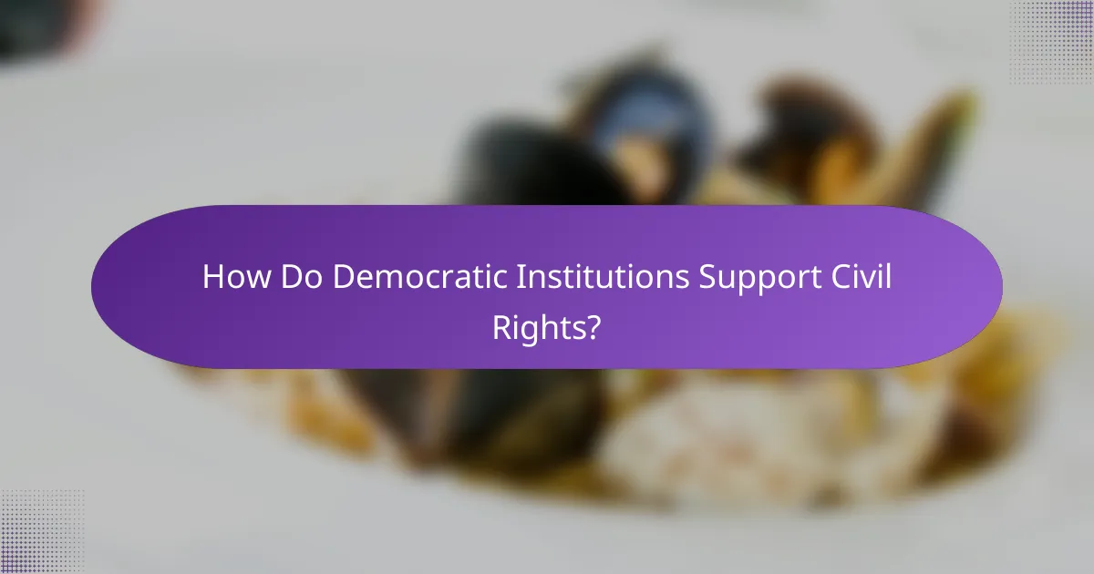 How Do Democratic Institutions Support Civil Rights?