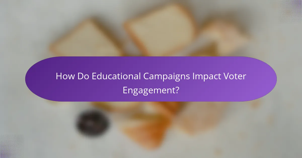 How Do Educational Campaigns Impact Voter Engagement?