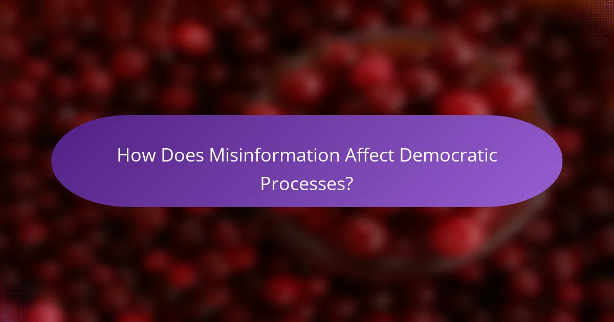 How Does Misinformation Affect Democratic Processes?