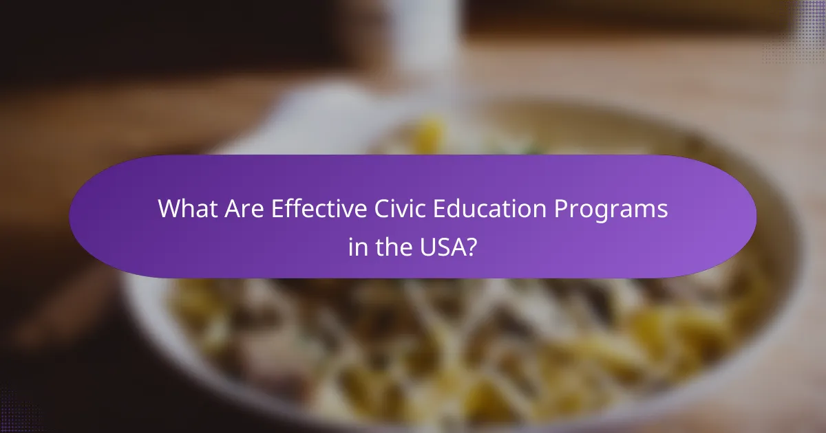 What Are Effective Civic Education Programs in the USA?