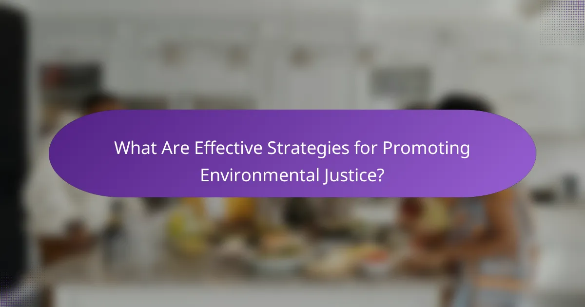 What Are Effective Strategies for Promoting Environmental Justice?
