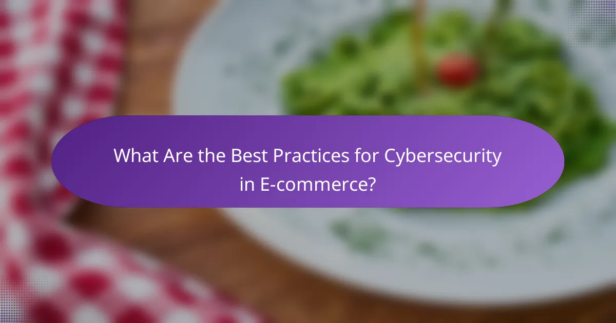 What Are the Best Practices for Cybersecurity in E-commerce?