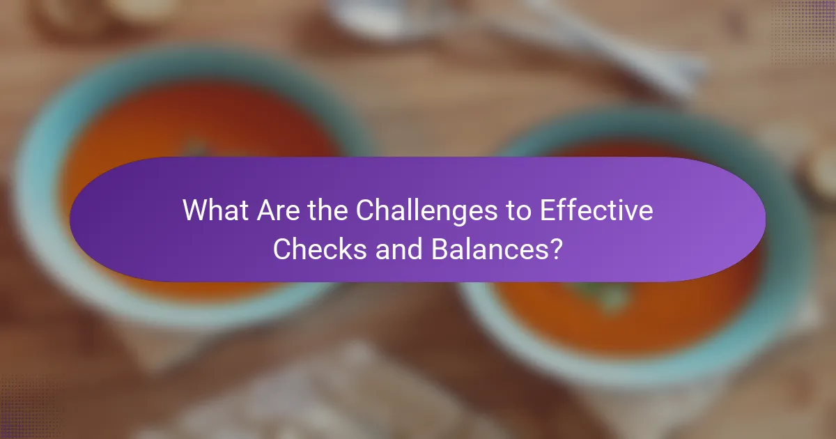 What Are the Challenges to Effective Checks and Balances?