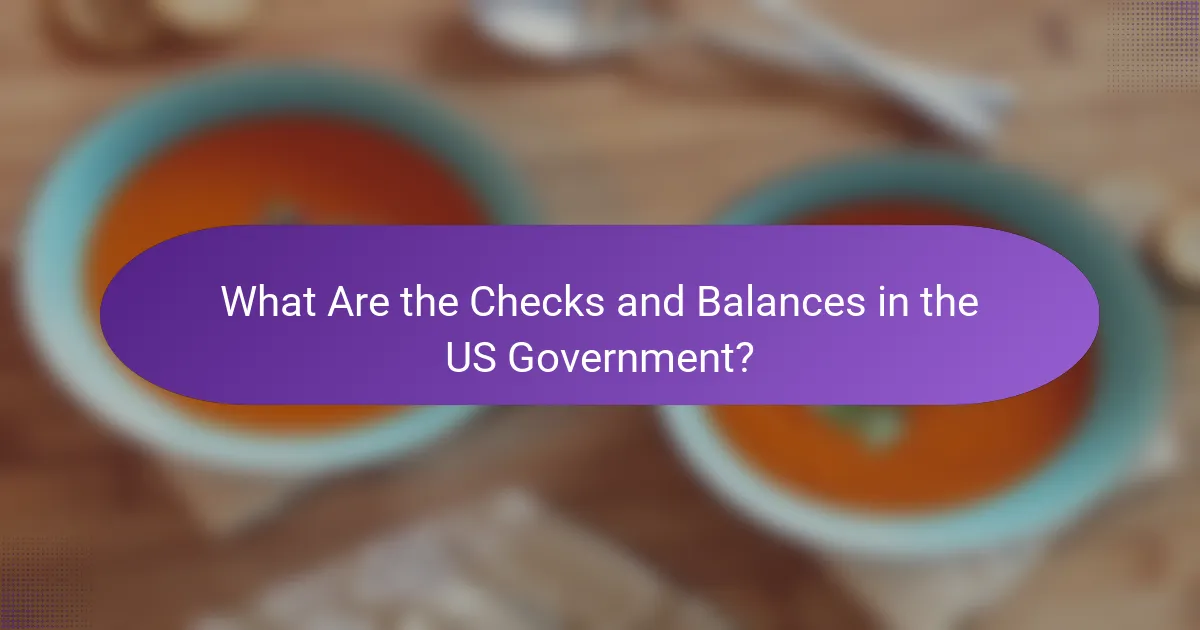 What Are the Checks and Balances in the US Government?