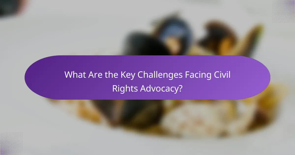 What Are the Key Challenges Facing Civil Rights Advocacy?