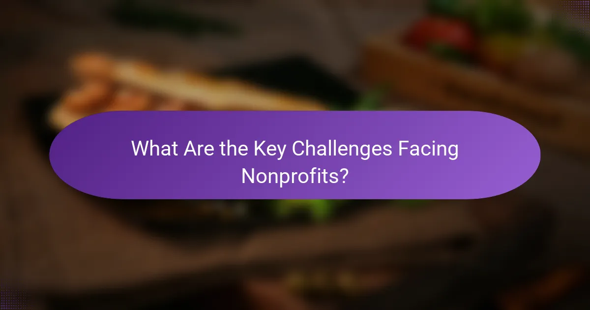 What Are the Key Challenges Facing Nonprofits?