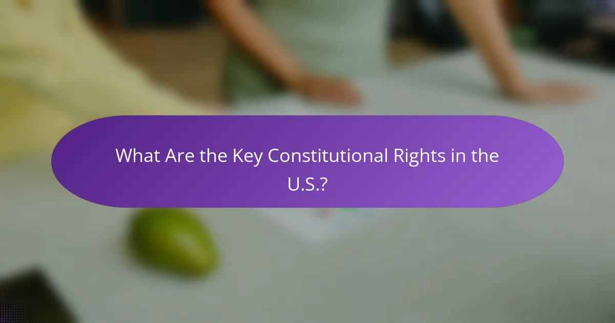 What Are the Key Constitutional Rights in the U.S.?
