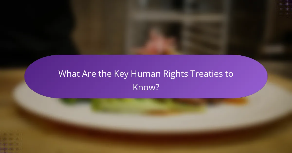 What Are the Key Human Rights Treaties to Know?