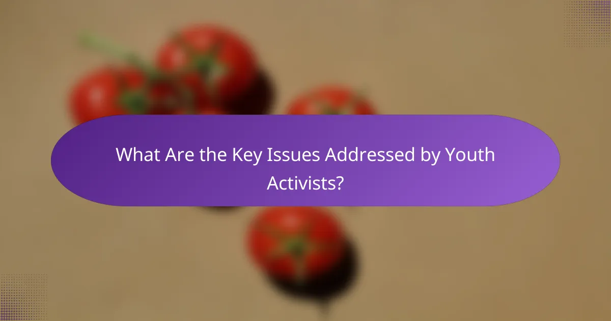 What Are the Key Issues Addressed by Youth Activists?