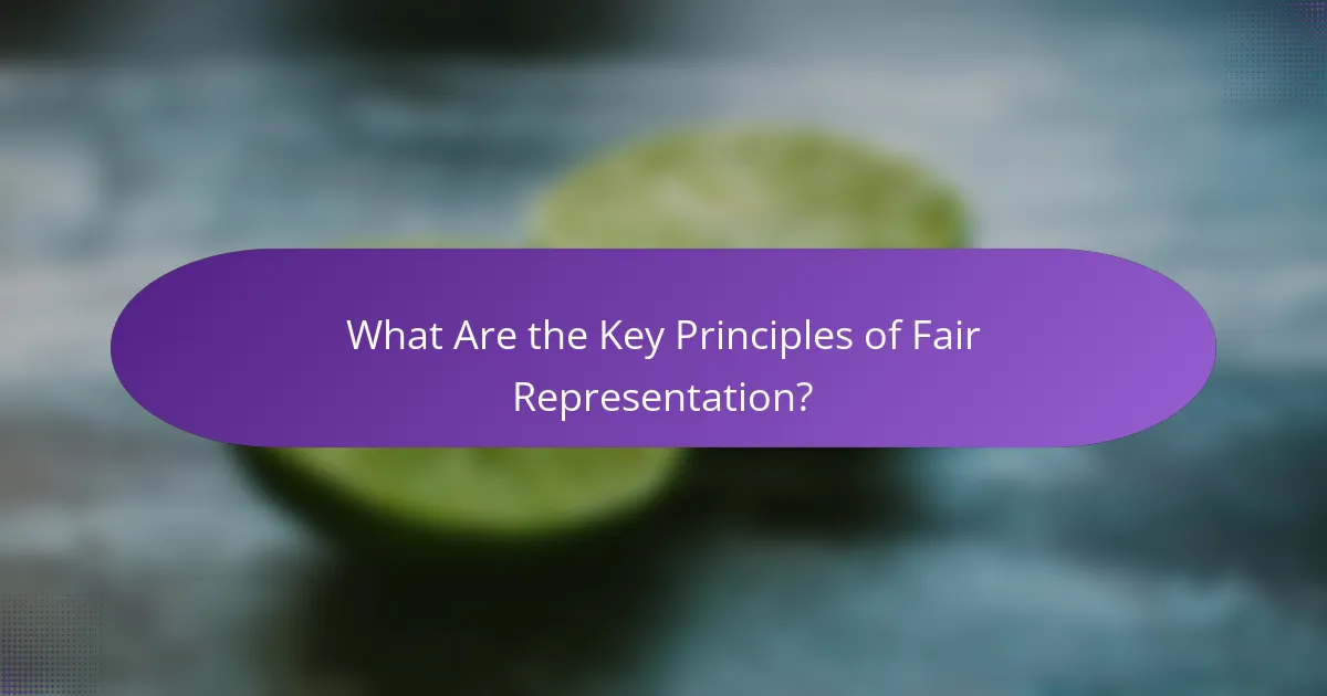 What Are the Key Principles of Fair Representation?
