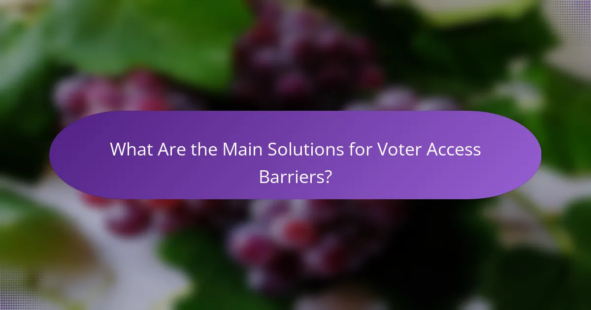 What Are the Main Solutions for Voter Access Barriers?