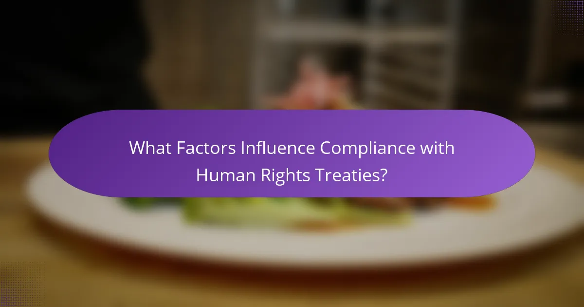 What Factors Influence Compliance with Human Rights Treaties?