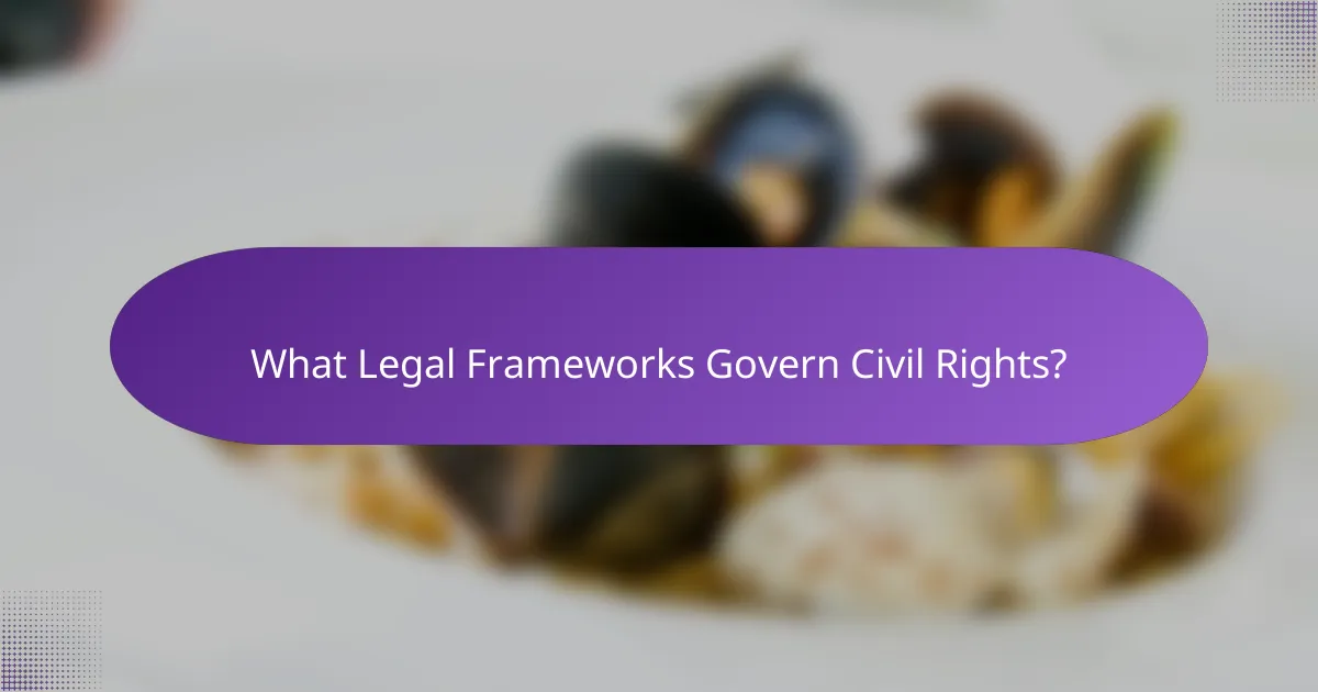 What Legal Frameworks Govern Civil Rights?