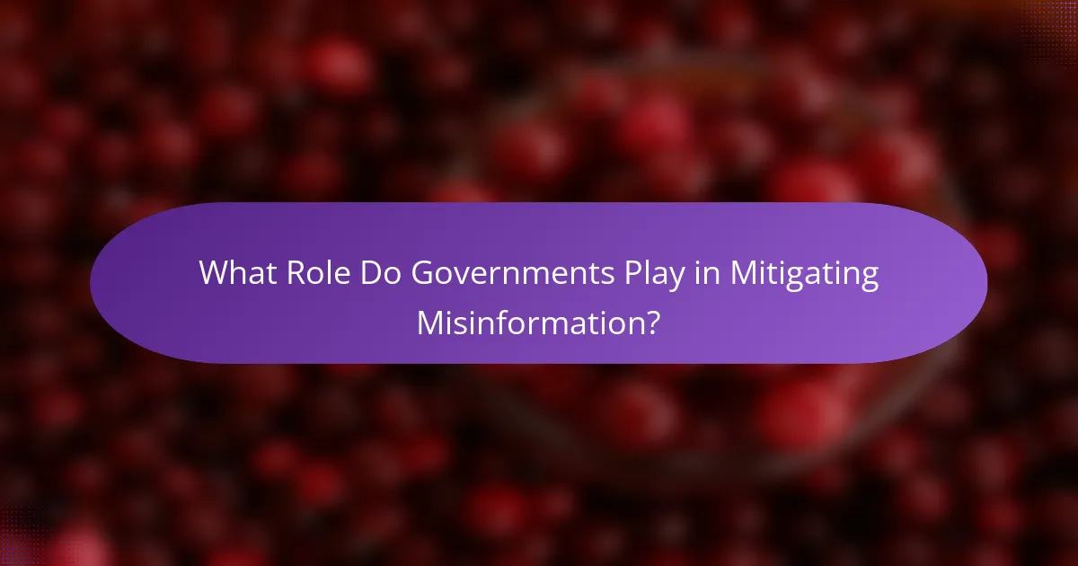 What Role Do Governments Play in Mitigating Misinformation?
