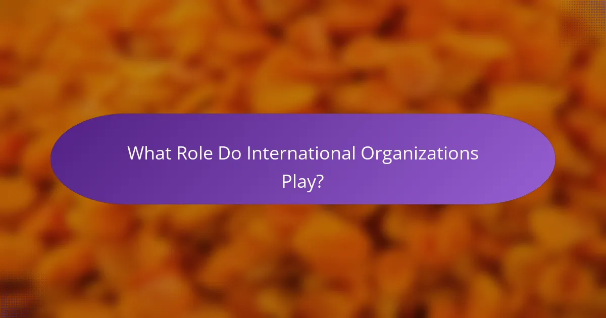 What Role Do International Organizations Play?