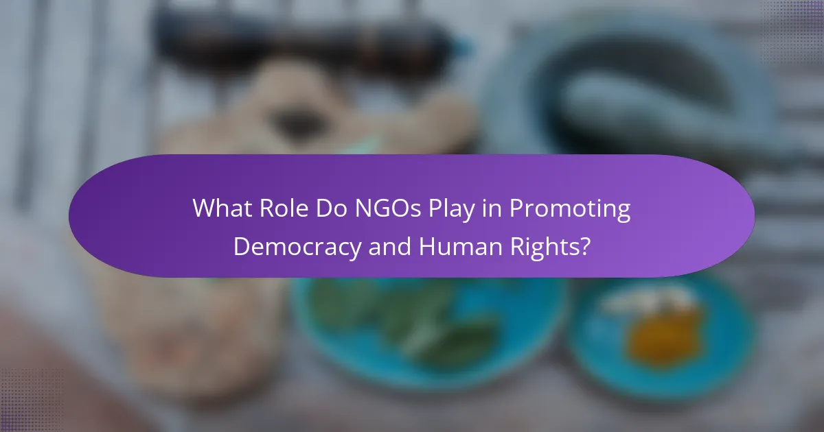 What Role Do NGOs Play in Promoting Democracy and Human Rights?
