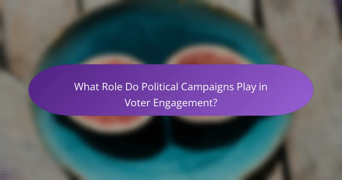 What Role Do Political Campaigns Play in Voter Engagement?