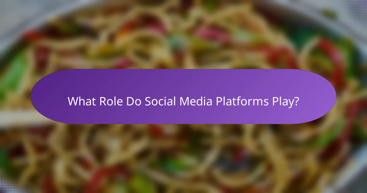 What Role Do Social Media Platforms Play?