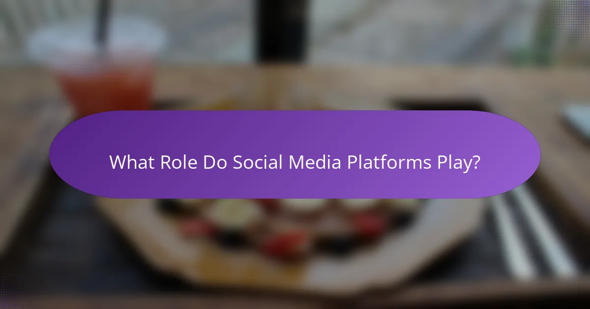 What Role Do Social Media Platforms Play?