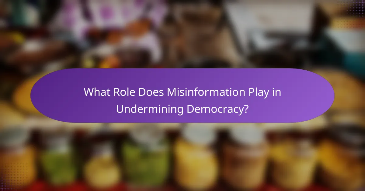 What Role Does Misinformation Play in Undermining Democracy?