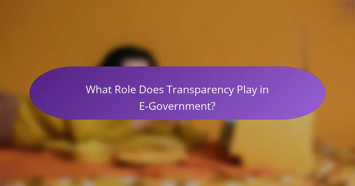 What Role Does Transparency Play in E-Government?
