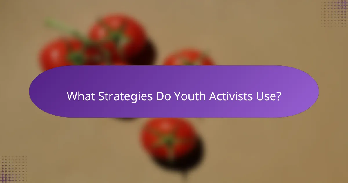 What Strategies Do Youth Activists Use?